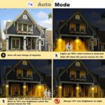 Solar Powered Motion Sensing Lights - Image 12