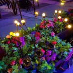 Solar Powered Firefly Garden Light - Image 6